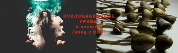 гидра Абдулино