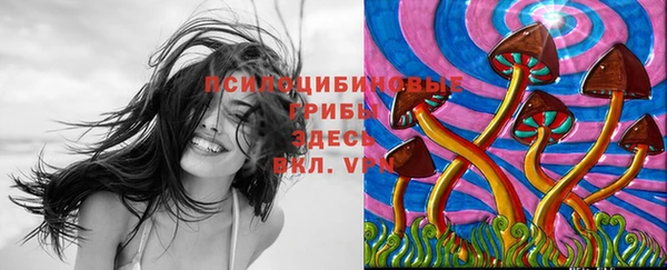 амф Радужный