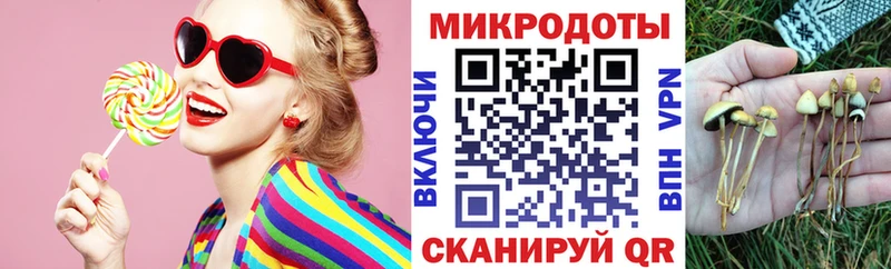 МЕГА ссылка  Электроугли  Псилоцибиновые грибы Psilocybe 
