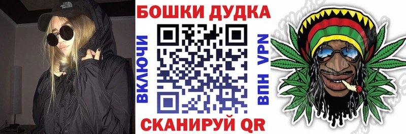 Бошки марихуана ГИДРОПОН  где можно купить наркотик  Электроугли 